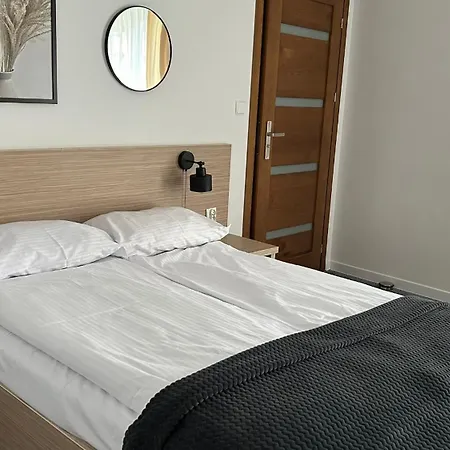 Rosa Guest house *