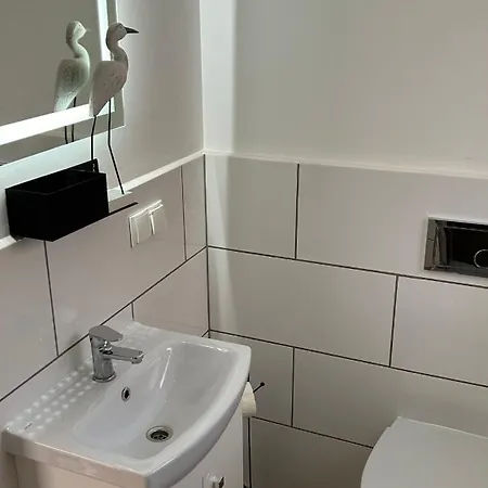 Rosa Guest house *