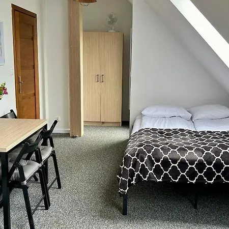Rosa Guest house *