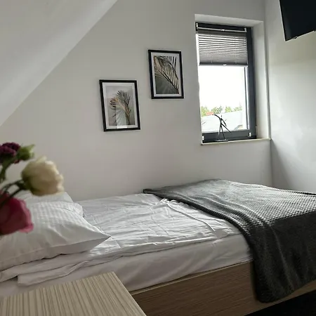 Guest house Rosa *
